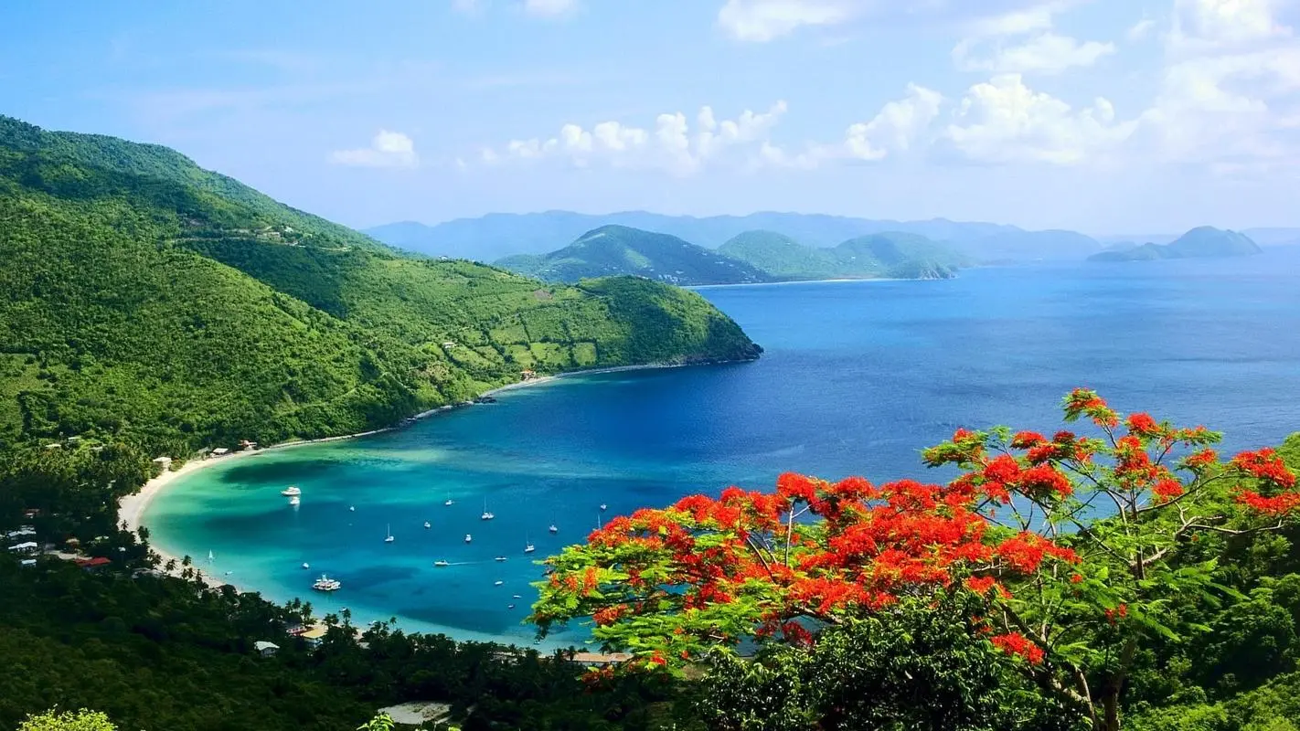 高效先进